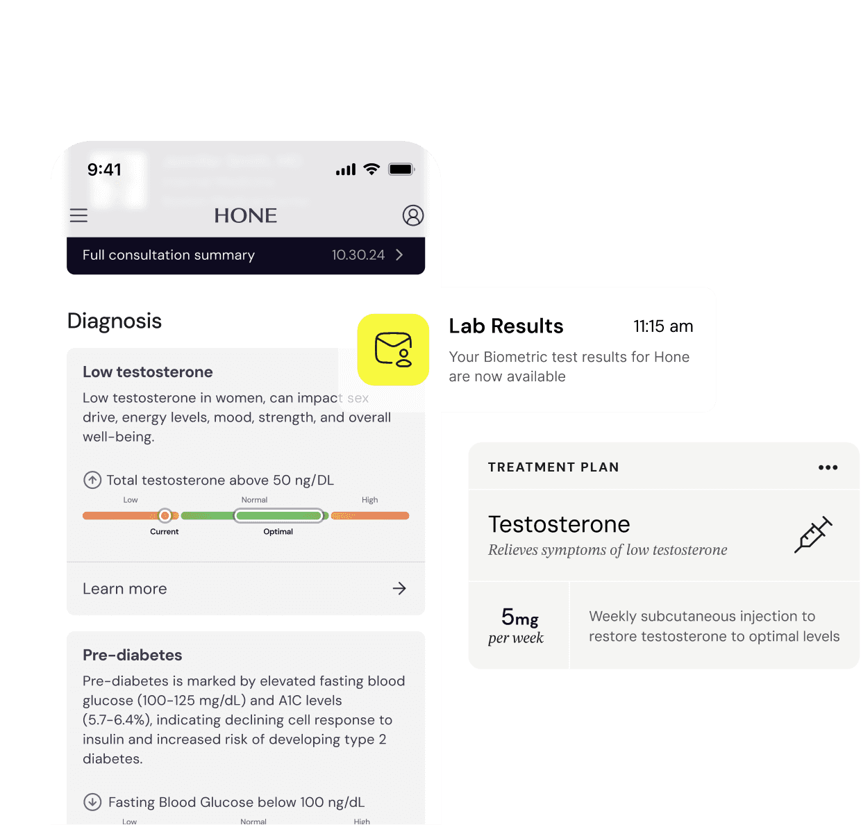 Example lab-results display from Hone Health's official website